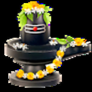 Meet your Posher, Tarun